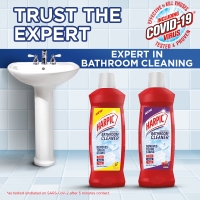 Harpic Bathroom Cleaner Floral 500ML