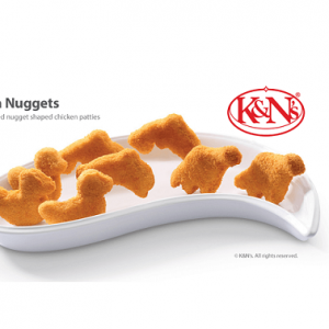 K&Ns Fun Nuggets